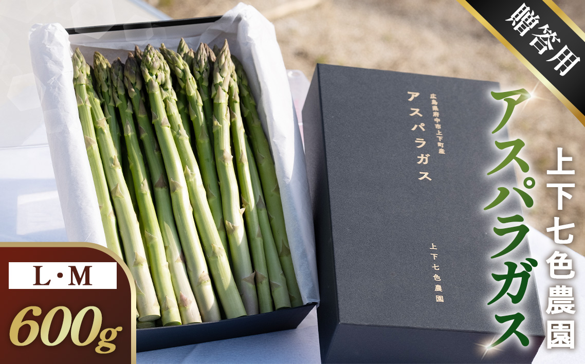 上下七色農園贈答用アスパラガス　L・Ｍサイズ　貼箱（600g） No.1090