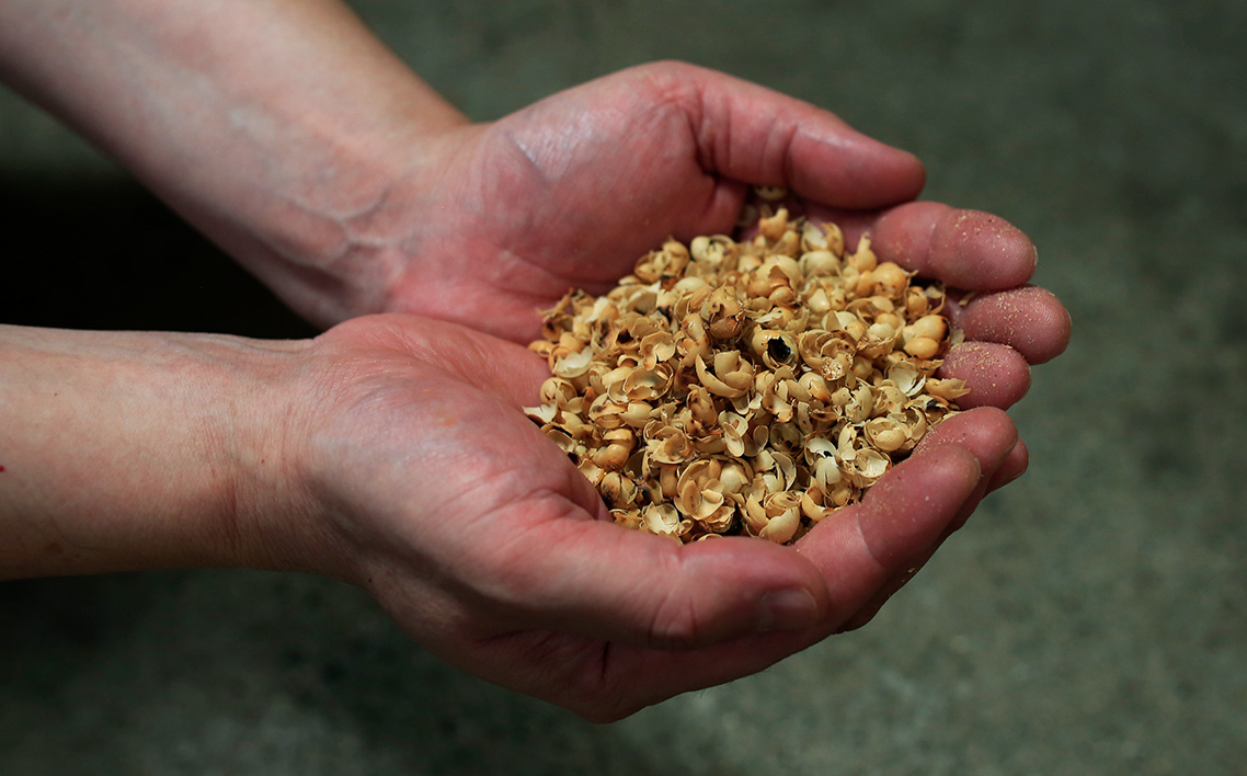 No.1076 ããããææŒçŽã掻çå°å·ååºãªãªãžãã«ãã¶ã€ã³