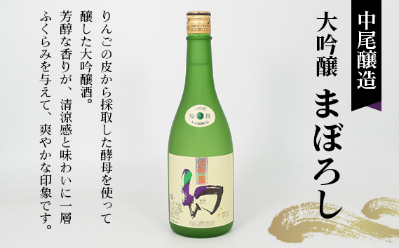 No.1040 【びんご圏域連携】日本酒 飲み比べセット 天寶一「中汲み大吟醸40」（福山市）・醉心山根本店「純米大吟醸生地 名誉醉心」（三原市）・中尾醸造「大吟醸まぼろし」（竹原市）