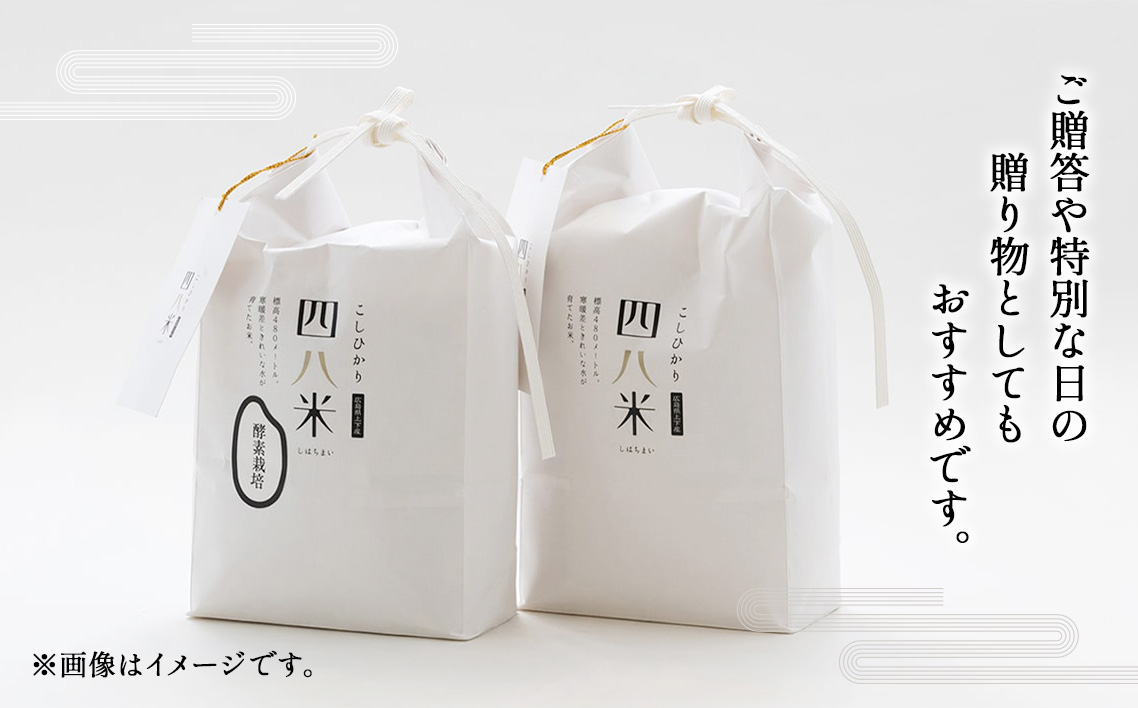 縲仙屁蜈ォ邀ウ縲鷹オ邏繝励Ξ繝溘い繝縲3kg No.287