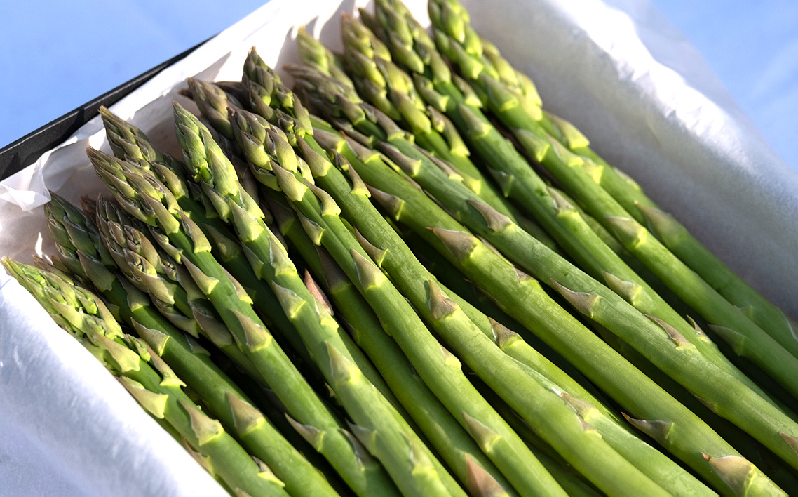 äžäžäžè²èŸ²åèŽççšã¢ã¹ãã©ã¬ã¹ã2Lã»Lãµã€ãºã貌箱ïŒ1kgïŒ No.1097