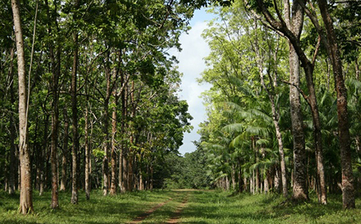 農林業の振興に関すること