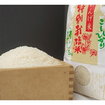 縲先ッ取怦螳壽悄萓ソ縲大、「縺ョ縺イ縺九j10kg(縺薙@縺イ縺九j)蜈ィ6蝗槭4074312縲