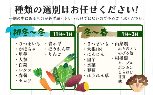 【定期便 3回配送】広島県庄原産「旬の野菜」詰め合わせ箱（13～15品目）野菜セット やさい 3ヵ月 3か月 3ヶ月 定期 頒布会