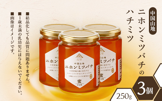 二ホンミツバチのハチミツ 250g×3個 | 合計750g はちみつ 蜂蜜 国産 非加熱 にほんみつばち 日本蜜蜂