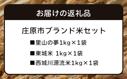 庄原市ブランド米セット 3kg | 1kg×3袋 合計3キロ 里山の夢 東城米 西城川源流米 比婆の神米 食べ比べセット