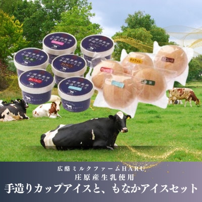 庄原産生乳使用　手造りカップアイスと、もなかアイスセット【配送不可地域：離島】【1618794】