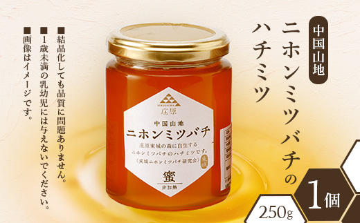 二ホンミツバチのハチミツ 250g×1個 | はちみつ 蜂蜜 国産 非加熱 にほんみつばち 日本蜜蜂