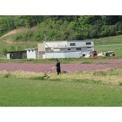 縲先ッ取怦螳壽悄萓ソ縲大、「縺ョ縺イ縺九j10kg(縺薙@縺イ縺九j)蜈ィ3蝗槭4074311縲