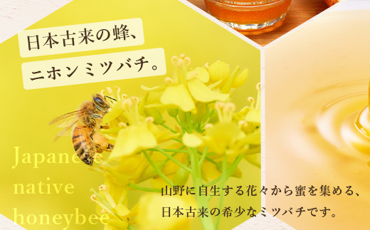 二ホンミツバチのハチミツ 250g×3個 | 合計750g はちみつ 蜂蜜 国産 非加熱 にほんみつばち 日本蜜蜂