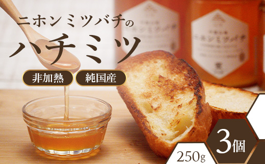二ホンミツバチのハチミツ 250g×3個 | 合計750g はちみつ 蜂蜜 国産 非加熱 にほんみつばち 日本蜜蜂