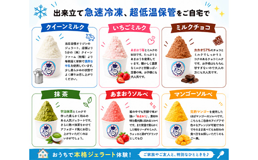 Queen’s Gelato レギュラーカップ12個セット 100ml×12個 （6種 各2個） | クイーンファーム クイーンズジェラート ジェラート 贈物 贈答 プレゼント ミルク クイーンミルク いちごミルク ミルクチョコ 抹茶 マンゴーソルベ　あまおうソルベ