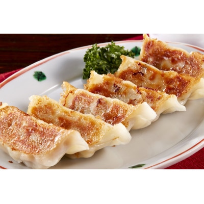 庄原特産　比婆牛・広島菜餃子　計2パック【配送不可地域：離島】【1704471】