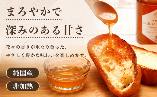 二ホンミツバチのハチミツ 250g×3個 | 合計750g はちみつ 蜂蜜 国産 非加熱 にほんみつばち 日本蜜蜂
