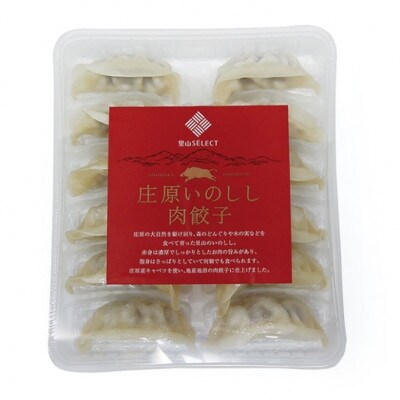庄原いのしし肉餃子　180g×4パック【配送不可地域：離島】【1695333】