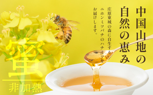 二ホンミツバチのハチミツ 250g×1個 | はちみつ 蜂蜜 国産 非加熱 にほんみつばち 日本蜜蜂