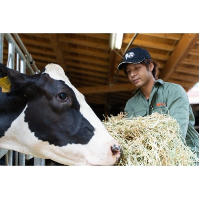 【8個入り】シンフォニープディング(プリン)【配送不可地域：離島】【1235029】