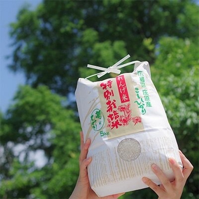 縲先ッ取怦螳壽悄萓ソ縲大、「縺ョ縺イ縺九j5kg(縺薙@縺イ縺九j)蜈ィ3蝗槭4074309縲