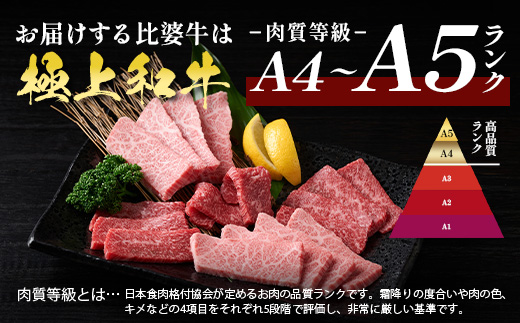 ãæ¯å©çãA5ãA4ã©ã³ã¯ çŒèçš è©ããŒã¹ 600g | çè 黿¯åç ãè çŒãè çŒèã»ãã åºå³¶ç BBQ ããŒããã¥ãŒ