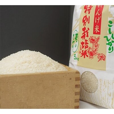 縲先ッ取怦螳壽悄萓ソ縲大、「縺ョ縺イ縺九j5kg(縺薙@縺イ縺九j)蜈ィ6蝗槭4074310縲