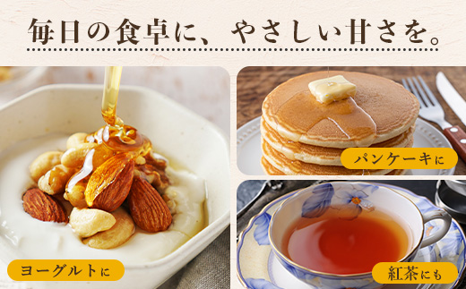 二ホンミツバチのハチミツ 250g×3個 | 合計750g はちみつ 蜂蜜 国産 非加熱 にほんみつばち 日本蜜蜂