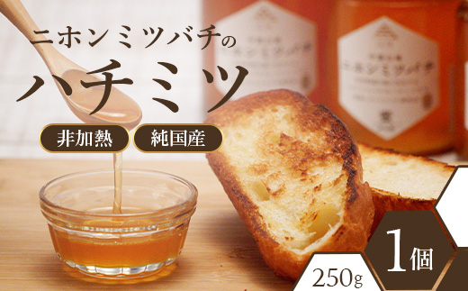 二ホンミツバチのハチミツ 250g×1個 | はちみつ 蜂蜜 国産 非加熱 にほんみつばち 日本蜜蜂