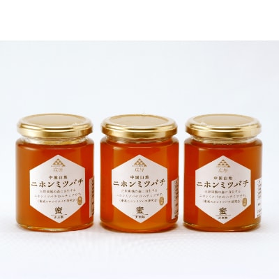 二ホンミツバチのハチミツ　250g×3個【1202414】