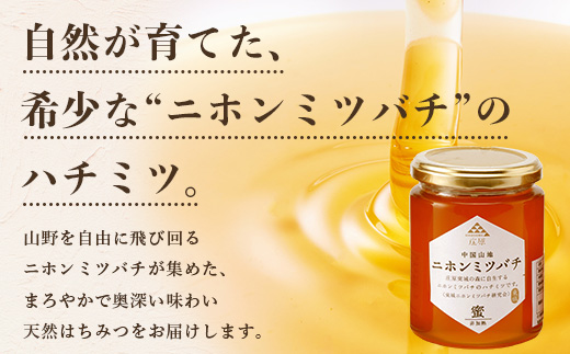 二ホンミツバチのハチミツ 250g×1個 | はちみつ 蜂蜜 国産 非加熱 にほんみつばち 日本蜜蜂