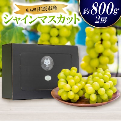 【先行受付 2026年発送】シャインマスカット2房セット【配送不可地域：離島・北海道・沖縄県】【1465047】