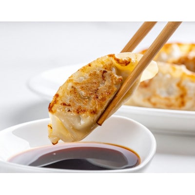 庄原特産　比婆牛・広島菜餃子　計4パック【配送不可地域：離島】【1704472】