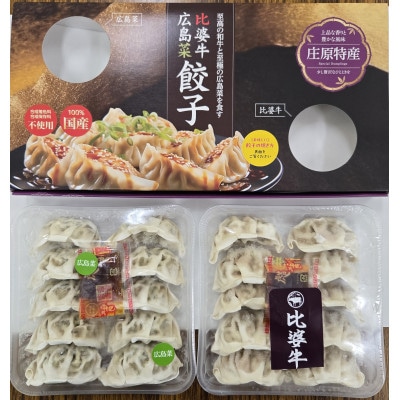庄原特産　比婆牛・広島菜餃子　計2パック【配送不可地域：離島】【1704471】