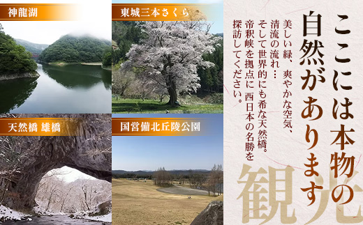 åžé峡芳å
ããã«éŠåœ©é€šã®å®¿æ³ãã©ã³ãç¹éž!åå£ã®å³èŠãã©ã³ã2åæ§1宀ãå©çšå®¿æ³åž