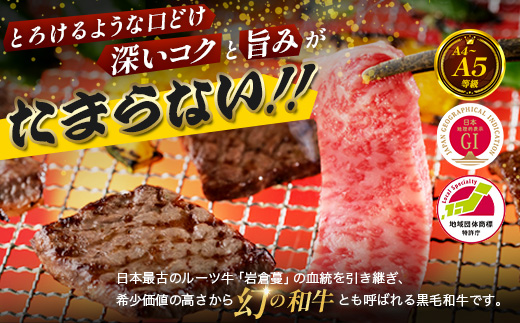 ãæ¯å©çãA5ãA4ã©ã³ã¯ çŒèçš ããŒã¹ 600g | çè 黿¯åç çŒãè åºå³¶ç çŒèã»ãã BBQ ããŒããã¥ãŒ
