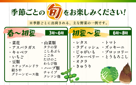 縲仙ョ壽悄萓ソ 6蝗樣埼√大コ蟲カ逵悟コ蜴溽肇縲梧流縺ョ驥手除縲崎ゥー繧∝粋繧上○邂アシ13ス15蜩∫岼シ蛾手除繧サ繝繝 繧縺輔> 6繝オ譛 6縺区怦 6繝カ譛 螳壽悄 鬆貞ク莨