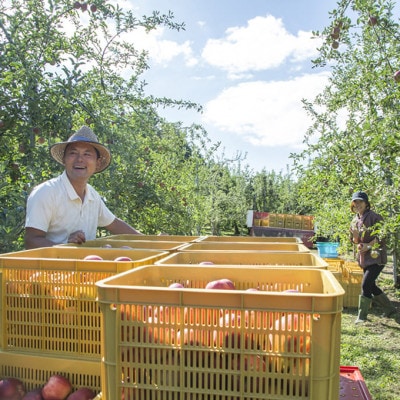 庄原 白根りんご農園のギフトセット【特】【1617935】