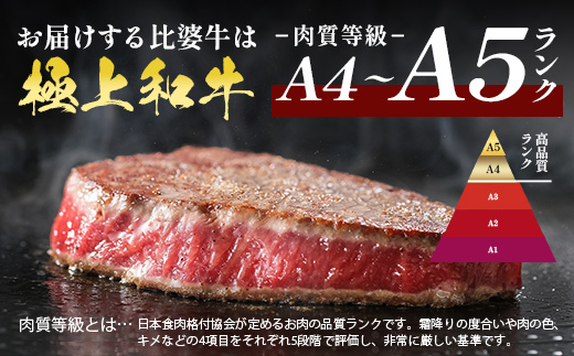 【比婆牛】A5〜A4ランク プレミアムセット 1600g(200g×8枚) | 牛肉 黒毛和牛 広島県 ステーキ ロースステーキ サーロインステーキ BBQ バーベキュー