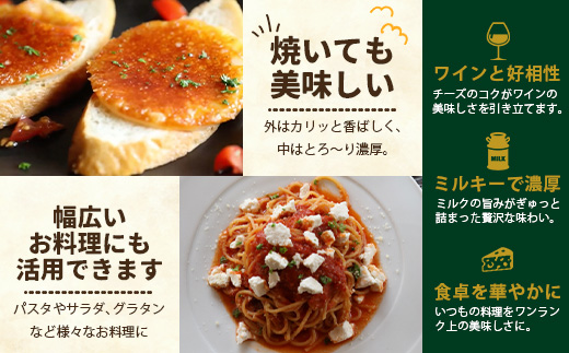 庄原産生乳の手作りチーズ3種セット | カチョカヴァロ 雪子 さいてちぃーず【JAPAN CHEESE AWARDs 受賞】贈り物 プレゼント ギフト 乳製品 チーズ