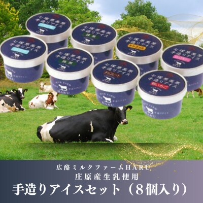 庄原産生乳使用　手造りアイスセット(8個入り)【配送不可地域：離島】【1618788】