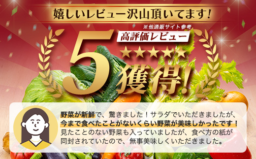 縲仙ョ壽悄萓ソ 12蝗樣埼√大コ蟲カ逵悟コ蜴溽肇縲梧流縺ョ驥手除縲崎ゥー繧∝粋繧上○邂アシ13ス15蜩∫岼シ蛾手除繧サ繝繝 繧縺輔> 12繝オ譛 12縺区怦 12繝カ譛 1蟷エ 1蟷エ髢 螳壽悄 鬆貞ク莨