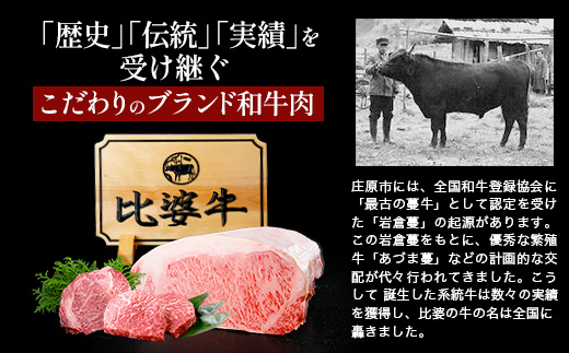 【比婆牛】A5〜A4ランク サーロインステーキ 800g(200g×4枚) | 牛肉 黒和牛 ステーキ 広島県 BBQ バーベキュー
