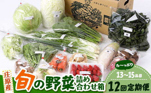 【定期便 12回配送】広島県庄原産「旬の野菜」詰め合わせ箱（13～15品目）野菜セット やさい 12ヵ月 12か月 12ヶ月 1年 1年間 定期 頒布会