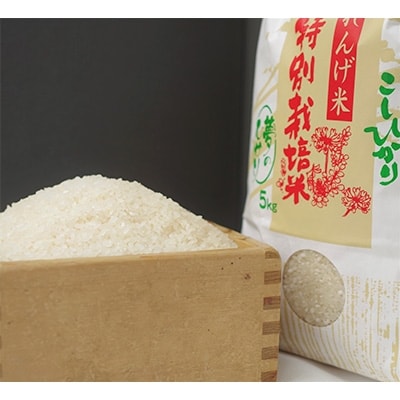 夢のひかり　5kg(こしひかり)【1202412】