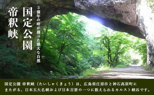 帝釈峡観光ホテル 養浩荘 ご宿泊券 「雌橋プラン【平日】1名様1泊2食(夕・朝)」