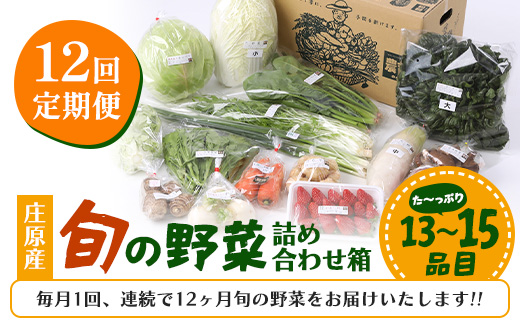 縲仙ョ壽悄萓ソ 12蝗樣埼√大コ蟲カ逵悟コ蜴溽肇縲梧流縺ョ驥手除縲崎ゥー繧∝粋繧上○邂アシ13ス15蜩∫岼シ蛾手除繧サ繝繝 繧縺輔> 12繝オ譛 12縺区怦 12繝カ譛 1蟷エ 1蟷エ髢 螳壽悄 鬆貞ク莨