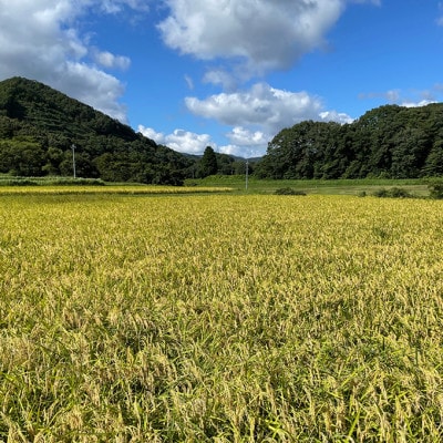 【毎月定期便】特別栽培米「糸原家のお米」高野町産コシヒカリ5キロ(精米)全12回【4070793】