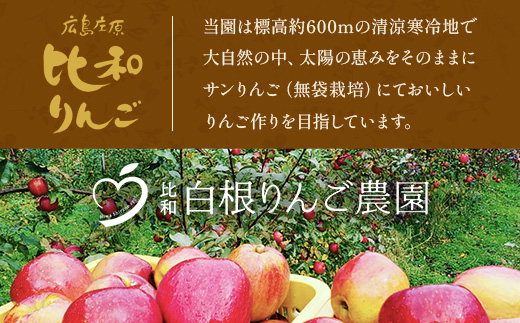 白根りんご農園 りんごのお酒とジュース達セット 合計3本 | シードル 果実酒 りんご リンゴ 林檎 100%りんごジュース 飲み比べセット ギフト