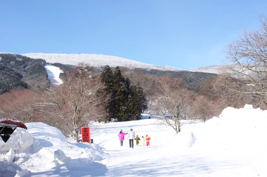 保健、福祉、医療及び介護に関する事業