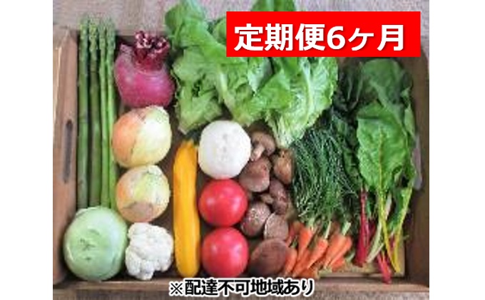 旬の野菜・定期便（6か月）【配達不可：北海道・沖縄・離島】