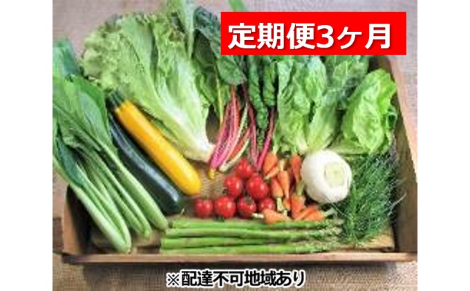 旬の野菜・定期便（3か月）【配達不可：北海道・沖縄・離島】