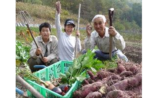 旬の野菜・定期便（6か月）【配達不可：北海道・沖縄・離島】